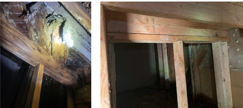 Termite Wood Repair Orange County