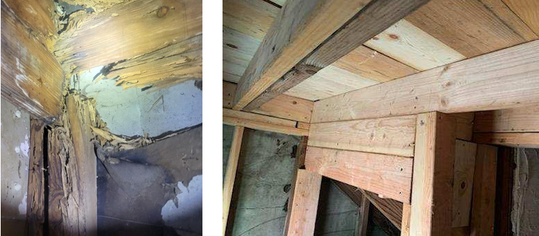 Termite Wood Repair Encino