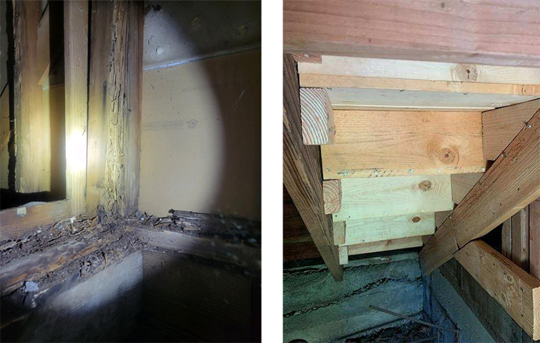 Termite Wood Repair Los Angeles