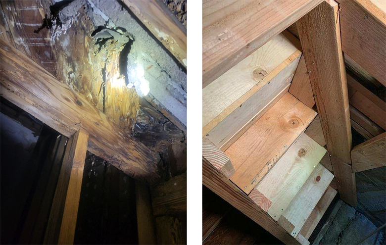 Termite Wood Repair Los Angeles