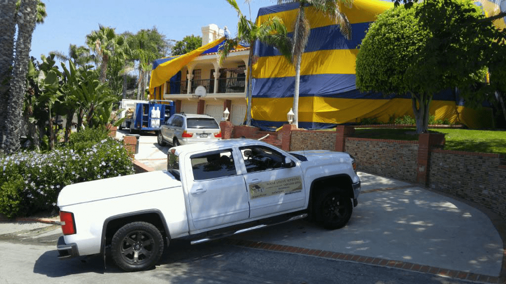 Termite Exterminators Los Angeles