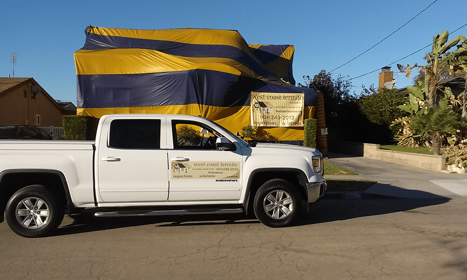 Free Termite Inspection Long Beach