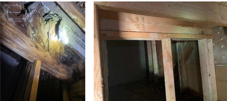 termite wood repair los angeles