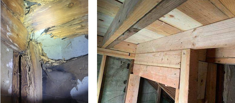 termite wood repair los angeles