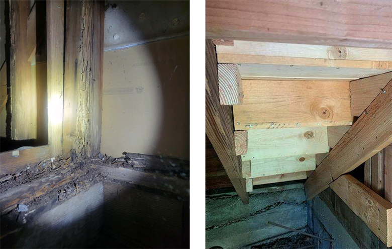 termite wood repair los angeles