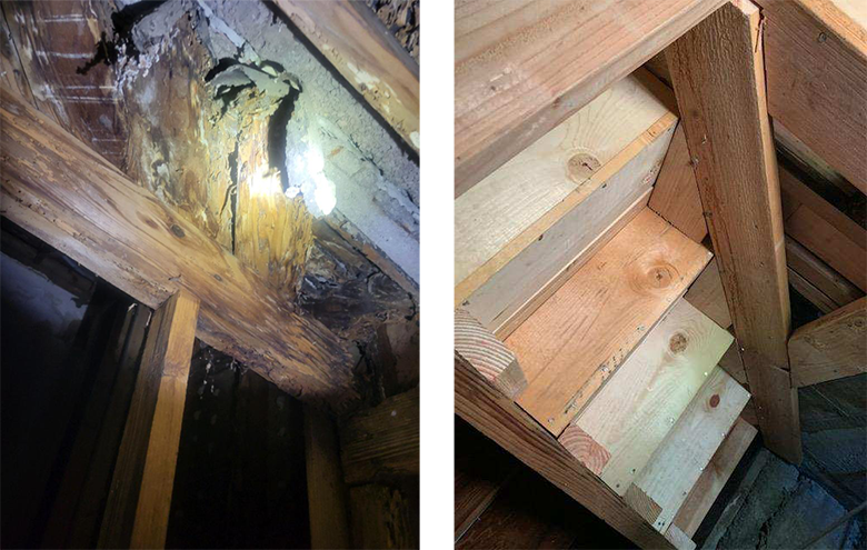 termite wood repair los angeles